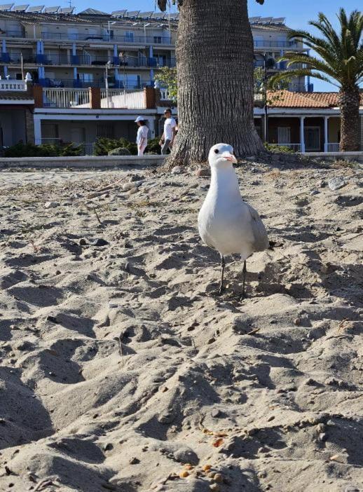 Appartamento Habitacion En Piso Compartido Cerca De Playa Xilxes  Esterno foto
